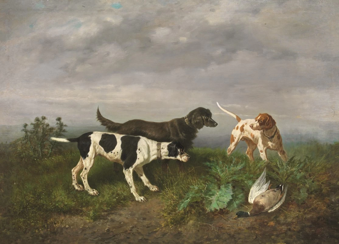 Cani da caccia